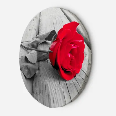 Produktbild von Leinwandbild rund Rote Rose auf einem Pier 80x80 Feeby Rot bild für die wand bereit zum aufhängen