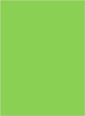 Produktbild von 25 Blatt farbiges Briefpapier Lysco Color Paper Lively Grün Format DIN A4 ( 210 x 297 mm ) Papier Farbe Briefbogen Grün (LCP-108)