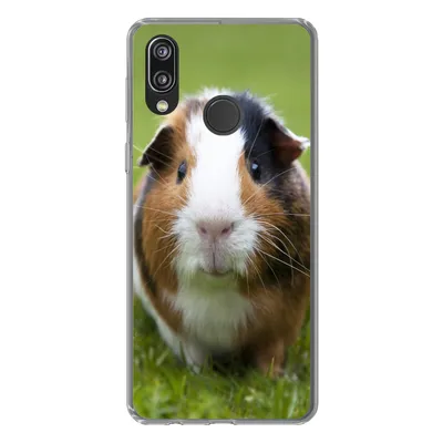 Produktbild von MuchoWow® Handyhülle Schutzhülle Hülle für Huawei P20 Lite (2020) Zwei Meerschweinchen Silikon Softcase Handy Hülle - Kartenhalter