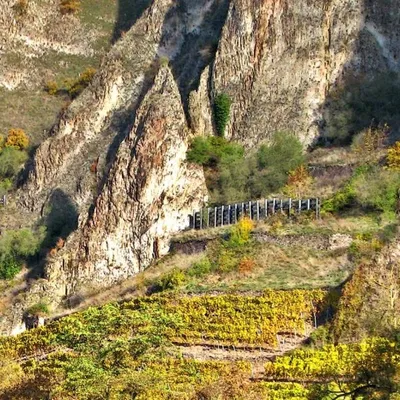 Produktbild von Gut Hermannsberg Riesling Traiser Bastei Grosses Gewächs - 2020