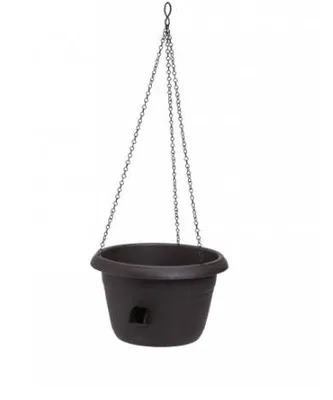 Obrázok produktu pre SIESTA samooplodňujúca závesná žaba d25x16cm