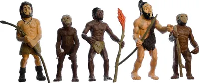 Produktbild von 5x Evolution des Menschen Figuren Aufstellfiguren Miniblings Mensch Neandertaler