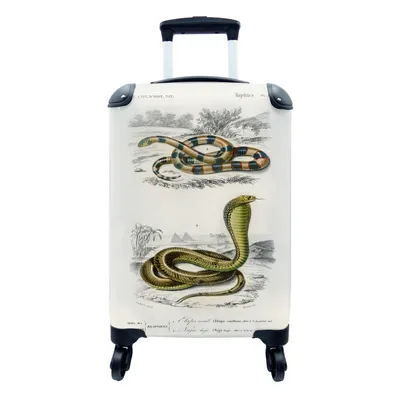 Produktbild von MuchoWow® Koffer Handgepäck Trolley Rollkoffer Kleine Reisekoffer mit 4 Rollen - Schlange - Jahrgang - Reptilien - Cabin Size < 55x40x23 cm & 55x40x20 cm - Fotokoffer - Kabinenkoffer - Boardgepäck - Reise-Box - Reisekoffer - Reisegepäck - Koffer mit Bild - Trolley für Kinder