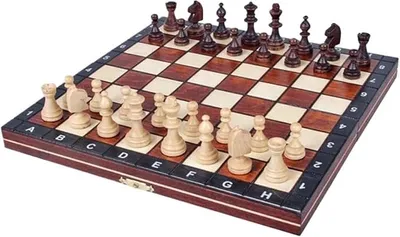 Imagen del producto de Juego de ajedrez profesional, con tablero plegable y piezas de ajedrez, juego de viaje portátil de madera maciza para adultos. Set de ajedrez