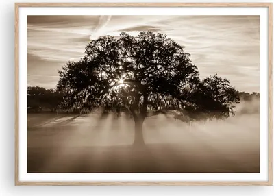 Produktbild von Gerahmtes Poster - Rahmen in heller Eiche - Baum Feld Natur - 100x70 cm - Wand Bild - Wanddeko - Wandbilder - Wandposter - Bilderrahmen - Bilder - Kunstdruck - Wandbild - P2NAA100x70-3811