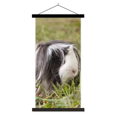Produktbild von MuchoWow® Textilposter Langhaar-Meerschweinchen 90x180 cm mit schwarzem Rahmen - Dekoration Wohnzimmer