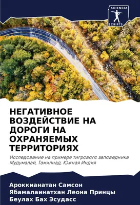 Produktbild von NEGATIVNOE VOZDEJSTVIE NA DOROGI NA OHRANYaEMYH TERRITORIYaH
