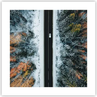 Produktbild von Poster - Poster ohne Rahmen - Wald Weg Schnee - 40x40 cm - Wand Bild - Wanddeko - Wandbilder - Kunstposter - Wandposter - Bilder - Kunstdruck - Wanddekoration - Wandbild - P2XAC40x40-4654