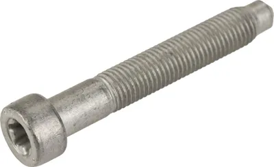 Immagine prodotto di Vite M10x1,25x65 51906157
