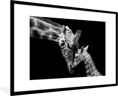Produktbild von MuchoWow® Gerahmtes Poster Giraffe - Wildtiere - Porträt - Schwarz-Weiß 90x60 cm - Poster mit Schwarzem Bilderrahmen Wandposter Rahmen Foto Bilder - Wanddekoration - Fotos