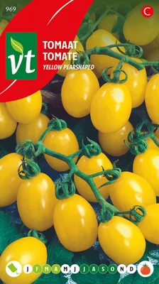 Obrázek produktu pro Rajče Žlutá semena ve tvaru hrušky - cca 0,5 gr | VT_969