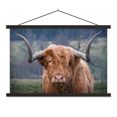 Produktbild von MuchoWow® Textilposter Schottischer Highlander - Hörner - Berg 150x100 cm mit schwarzem Rahmen - Schlafzimmer