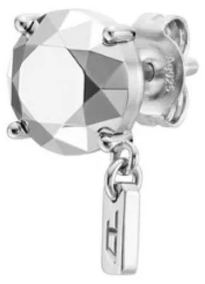 Productafbeelding van Zilveren oorbeltje, model DL1352040