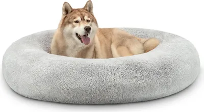 A dog lying in a round, plush dog bed.