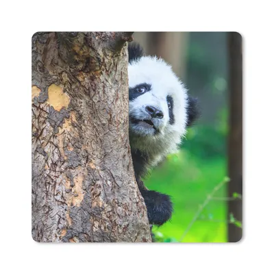Produktbild von MuchoWow® Mauspad Mousepad Panda - Baum - Wald 20x20 cm - Mousepads - Maus Mat - Pad - Mausunterlage - Desk Mat - Bureauartikeln