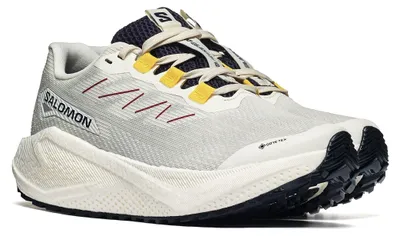 Image de Salomon AERO BLAZE 3 GRVL GTX W L47974100