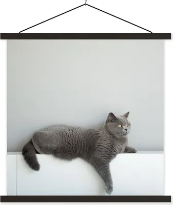 Produktbild von MuchoWow® Textilposter Katze - Britisch Kurzhaar - Grau - Mädchen - Kinder - Jungen - Kinder 120x120 cm mit schwarzem Rahmen - Aufhängungsset