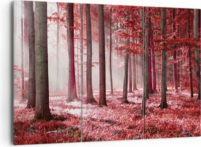 Produktbild von Bild auf Leinwand - Leinwandbild - 3 Teile - Wald Rot Bäume - 165x110cm - Wand Bild - Wanddeko - Wandbilder - Leinwanddruck - Bilder - Wanddekoration - Leinwand bilder - Wandbild - CE165x110-4944