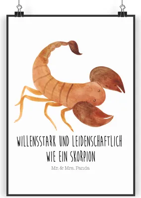 Produktbild von Mr. & Mrs. Panda Bild Sternzeichen Skorpion DIN A5 - Weiß - Geschenk, Plakat, Wandbild, Oktober, Skorpione, wanddeko, drucke, kunstdruck poster, Geburtstag, November