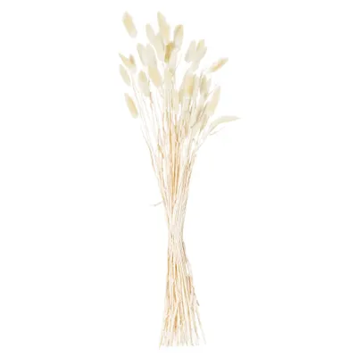 Immagine prodotto di Hill Interiors - Fiori secchi, erba di velluto confezione da 60 HI4170 (60 cm) (grigio)