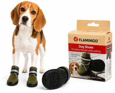 Immagine prodotto di Scarpe per cani Flamingo Kajan verde - 2 pezzi, taglia: S