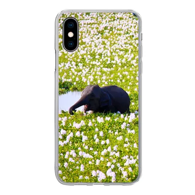 Produktbild von MuchoWow® Handyhülle Schutzhülle Hülle für iPhone X Elefant - Wasser - Pflanzen - Grün - Natur - Tiere Silikon Softcase Handy Hülle - Handyhülle