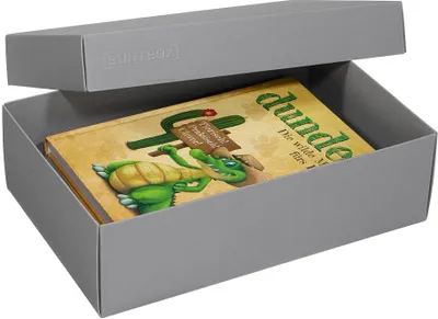 Produktbild von 2 BUNTBOX L Geschenkboxen 3,6 l grau 26,6 x 17,2 x 7,8 cm