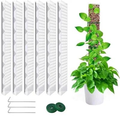 Produktbild von Moosstab 61 cm - Erweiterbarer Pflanzenstab für Kletterpflanzen