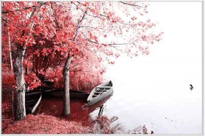 Produktbild von Wallario Wandbild Romantische Bootsanlegestelle in rot-weiß, Größe: 61 x 91,50 cm, Poster mit weißem Aluminiumrahmen