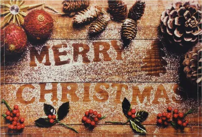 Produktbild von Tischset Platzset Stoff CLOTH Weihnachten MERRY CHRISTMAS