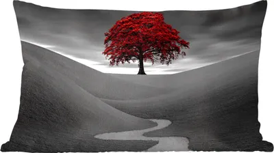 Produktbild von MuchoWow® Zierkissen Sofakissen Wohnzimmer Dekokissen 50x30 cm Schwarz-Weiß-Foto mit einem roten Baum - Wohnzimmerdekoration - Polster mit Photo
