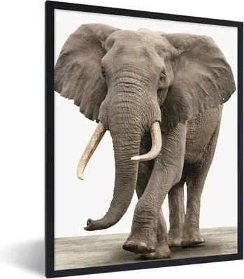 Produktbild von MuchoWow® Gerahmtes Poster Elefant - Kinder - Tiere - Mädchen 60x80 cm - Poster mit Schwarzem Bilderrahmen Wandposter Rahmen Foto Bilder - Premium - Wanddeko Wohnzimmer