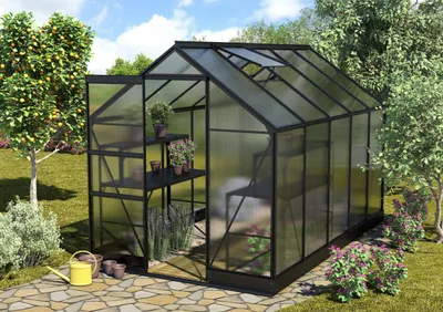 Obrázek produktu pro Skleník Vitavia Apollo 6200 polykarbonát 6 mm 195 x 323 cm černý vč. základového rámu