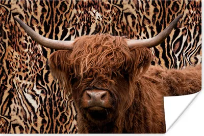 Produktbild von MuchoWow® Poster Panther Druck - Schottischer Highlander - Tiere 120x80 cm - Bilder