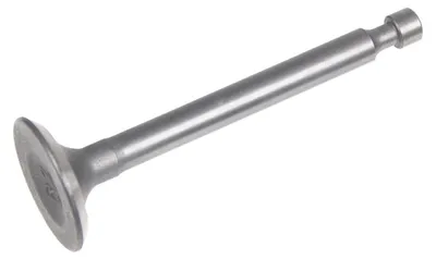 Zdjęcie produktu dla Zawór ssący Zongshen silnik XP140 100004520