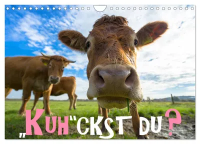 Produktbild von Kuhckst du? (Wandkalender 2027 DIN A4 quer), CALVENDO Monatskalender
