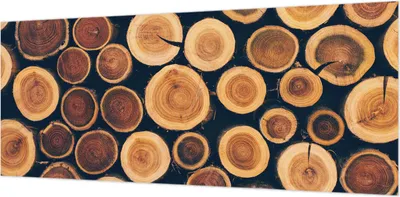 Produktbild von Wandtapete - Dekorative Tapete für Wohnzimmer- Tapetenfolie für Wanddekoration - 208x146 cm - Holzkreise