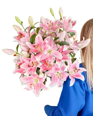 Produktbild von Blumenstrauß Pinke Lilien | Geschenk - frische Blumen | Blumenversand von BLOOMY DAYS