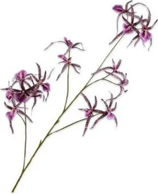 Produktbild von Kunstblume von Silk-ka – Orchideenzweig aus Seide, lila-rosa, 108 cm