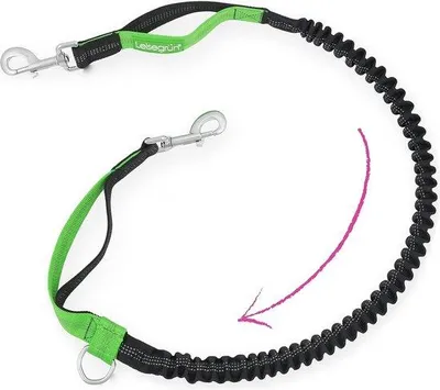 Image de Laisse extensible pour chien, 125-175 cm, 25 mm, pour grands chiens