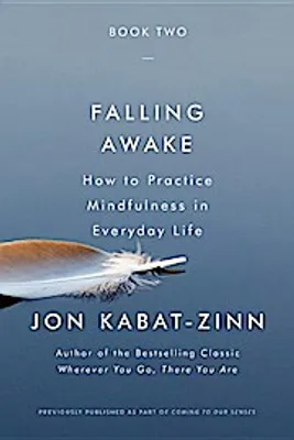 Productafbeelding van Falling Awake
