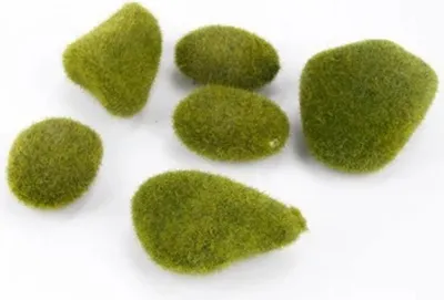Image de Pierres moussues - Vert - Lot de 6 - Décoration - Pierres pour terrariums