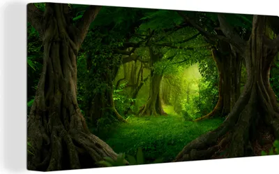 Produktbild von MuchoWow® - Leinwandbilder - Bäume - Wald - Grün - Landschaft - Natur, Wandbild, Wanddeko Bilder Wohnzimmer, 80x40cm