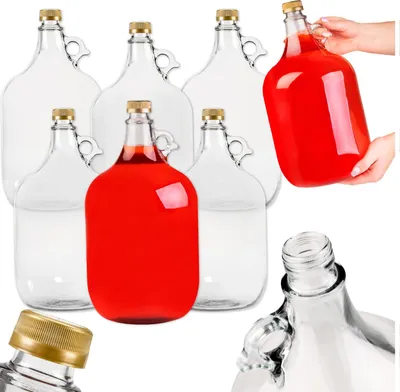 Zdjęcie produktu dla SuperButelki - Zestaw 6x GĄSIOR 5L balon, dama, butelka na wino w koszyku + 6x zakrętki, komplet