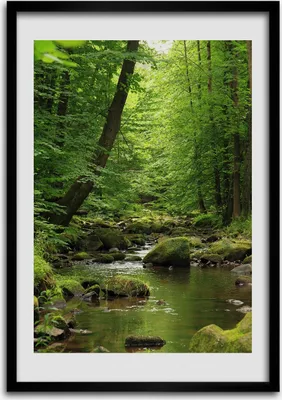 Produktbild von Bild - Bilderrahmen - 50 cm x 70 cm - MDF - Rahmen - Wandkunst Fluss im Wald