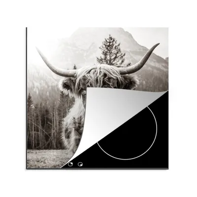Obrázek produktu pro KitchenYeah® Krycí deska na sporák Scottish Highlander - Animals - Black - White , 78x78cm, dekorace do kuchyně, keramická krycí deska na sporák, krycí deska na varnou desku