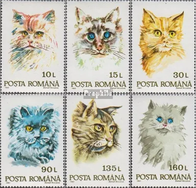 Produktbild von Briefmarken Rumänien 1993 Mi 4885-4890 (kompl.Ausg.) postfrisch Katzen