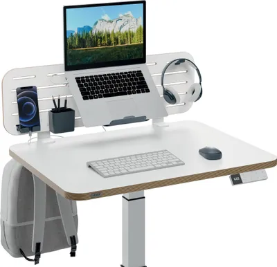 Immagine prodotto di Leitz Ergo Pegboard Desk Organiser con supporto per laptop, 80x25 cm