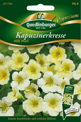 Artikelbild 1 von 'Kapuzinerkresse Milk Maid' aus der Kategorie Kapuzinerkressesamen