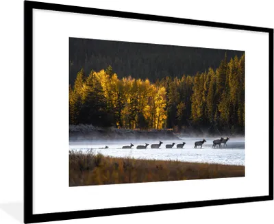 Produktbild von MuchoWow® MuchoWow® Gerahmtes Poster Hirsch - Wald - Fluss 90x60 cm - Poster mit zchwarzem Bilderrahmen - Wanddekoration - Fotos